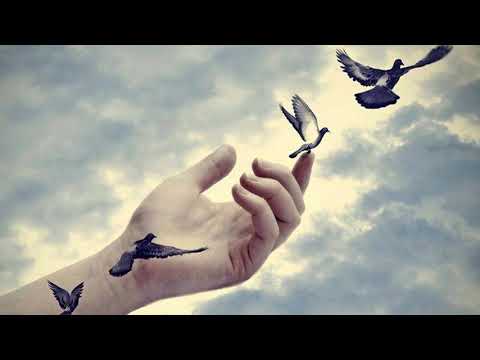 Thiên đường quạnh hiu Sheet - Từ Công Phụng