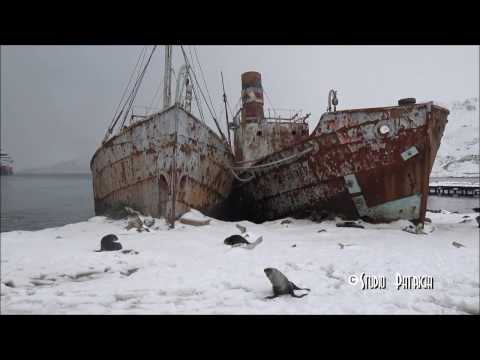 Expedition Antarctica & South Georgia with MS Fram