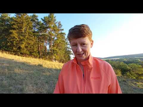 Niespodziewany telefon😊😍.Poranne oddychanie z Galgenberg👸🤴🧙.11 sierpnia 2022