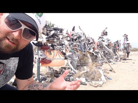 TDW 1112 - INSANE Tree Fence in Middle of The Desert
