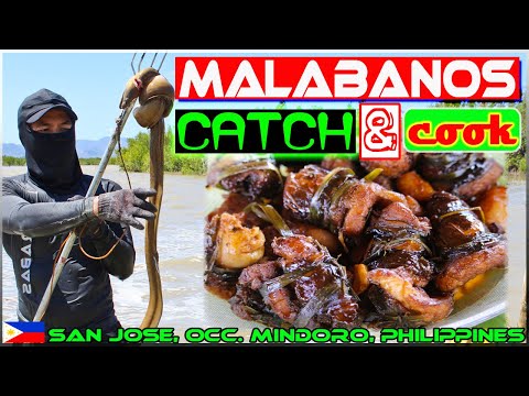 EP58 - Malabanos Catch and Cook | Braised Eel | W/English Subs | Occ. Mindoro