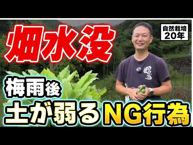 梅雨や大雨の後に絶対やってはいけないこと|土を弱らせないための管理と雨後の活用法