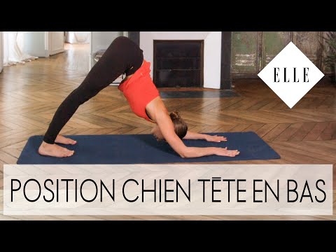 download lagu mp3 mp4 Yoga Chien Tte En Bas, download lagu Yoga Chien Tte En Bas gratis, unduh video klip Yoga Chien Tte En Bas