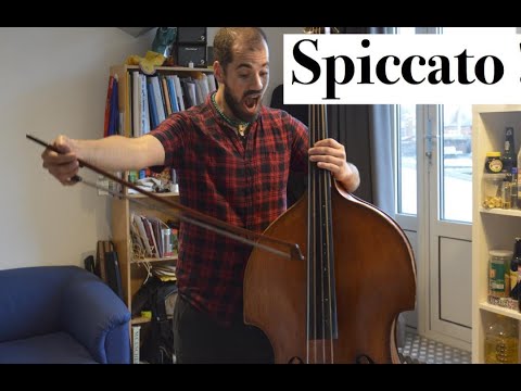 How I play the double bass: the spiccato