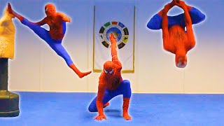 Taekwondo Spiderman | Flips & Kicks