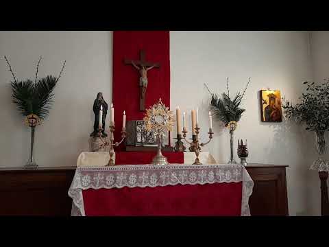 Primi Vespri Solenni - Domenica delle Palme