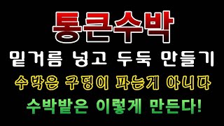 [텃밭농부.996]  통큰수박 밑거름 넣고 두둑을 만드는 방법.