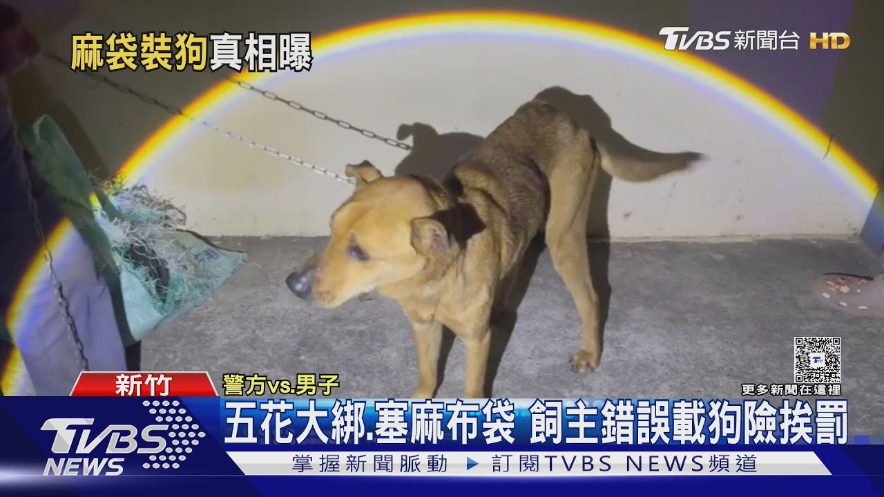 麻布袋裝狗！男路邊「詭異舉動」惹報警　飼主急解釋：牠第一次坐機車