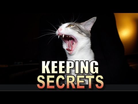 Talking Kitty Cat 53 - Keeping Secrets
