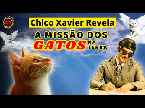(REVEALED) CHICO XAVIER AND THE FELINE SOUL - THE MISSION OF CATS ON EARTH - DID YOUR CAT CHOOSE ...