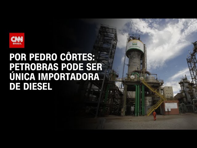 Análise: Petrobras pode virar a única importadora de diesel? | CNN NOVO DIA