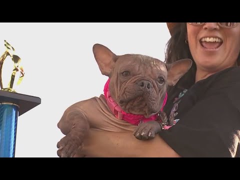 YouTube video player