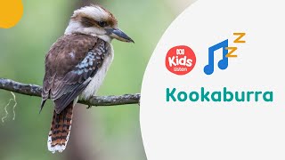 🎵 Kookaburra - Emily Wurramurra | Indigenous Lullabies | ABC Kids listen gameplay video by jkcon0, 2:05 duration