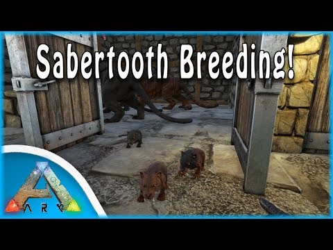 SABERTOOTH KITTENS | Ark: Survival Evolved