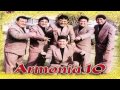 CERVECERO - ARMONIA 10