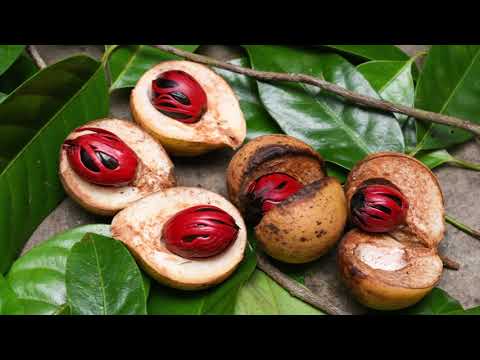 Alraune - DerEinsPunkt (Day.Din rmx)