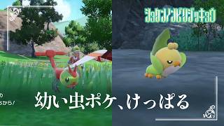 【鬼が山の虫ポケ】虫贔屓でスカーレット 初見のんびり実況【152話目】