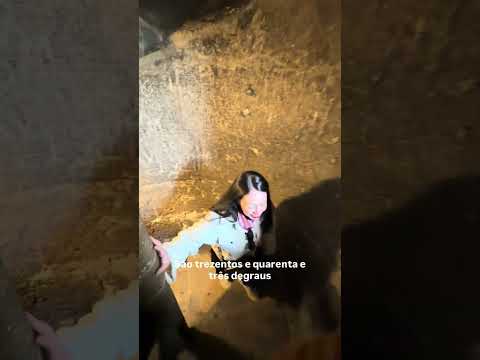 Como é subir a Catedral de Santo Estevão em Viena