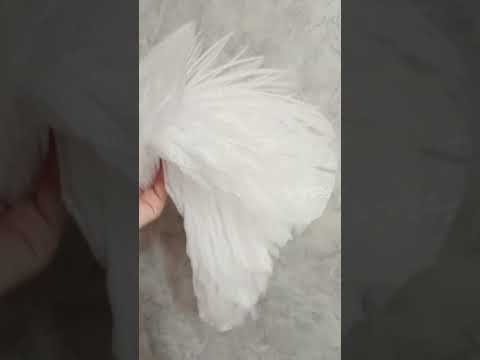 перья из изолона для фотозоны #фотозонаперья #новогодняяфотозона #фотозонадлясвадьбы #свадьба #diy