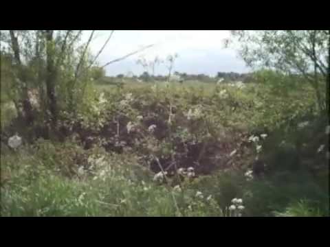 Abraham-Hicks V Donna Summer