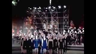 preview picture of video 'Musikverein Rühle - Freilichtbühne Meppen 13.09.2014 -Hallelujah'