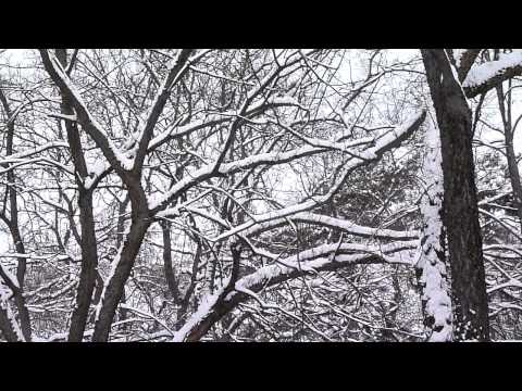 Stipan - Neces mene slikati ??