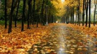 Download lagu Surah al-mulk 4-6 Irsyad Muqri (imitating muzammil hasballah) mp3