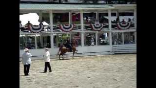preview picture of video 'Blowing Rock Charity Horse Show - Hibriten Stables'