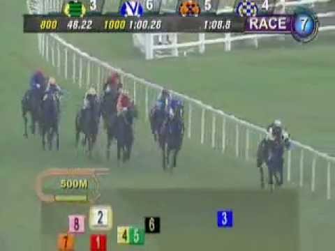 シャトルマン優勝　2012.02.26　7R　KRANJI STAKES C