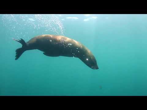 Anton Corazza - We Are Water