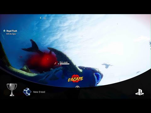 Maneater New Breed Trophy