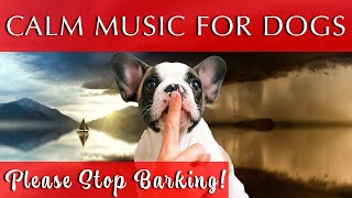 Music to Help Dogs Stop Barking [Does it Work?]