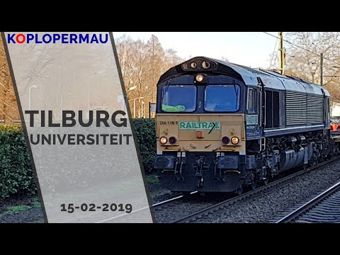Treinen op station Tilburg Universiteit - 15 februari 2019