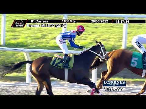 220320 c08 FARRA TOTAL