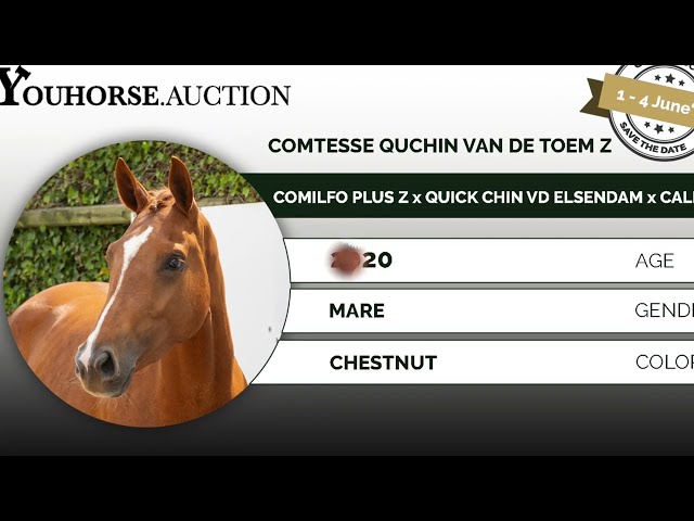 Comtesse Quchin van de Toem Z