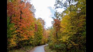 Trip to Murphy, NC. Oct. 2021