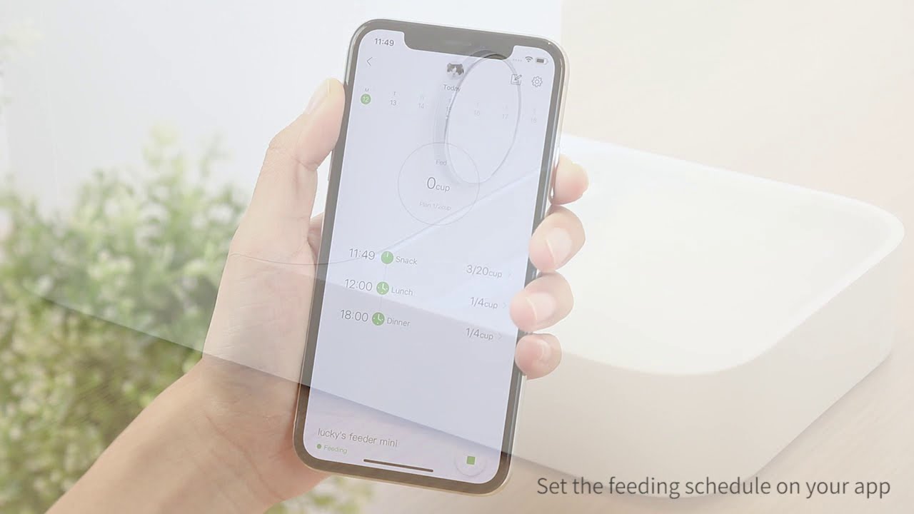 How To Use The PETKIT FRESH ELEMENT MINI SMART PET FEEDER
