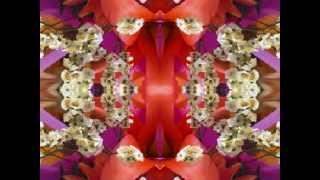 There&#39;s a Higher Power (by Buddy Miller live at Slim&#39;s 2005)