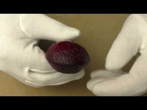 Dunhill Rubybark 3 - pipe E688