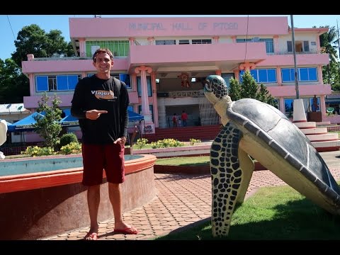 Secret Giant Turtle Island In The Philippines (This Is Not Apo Island)