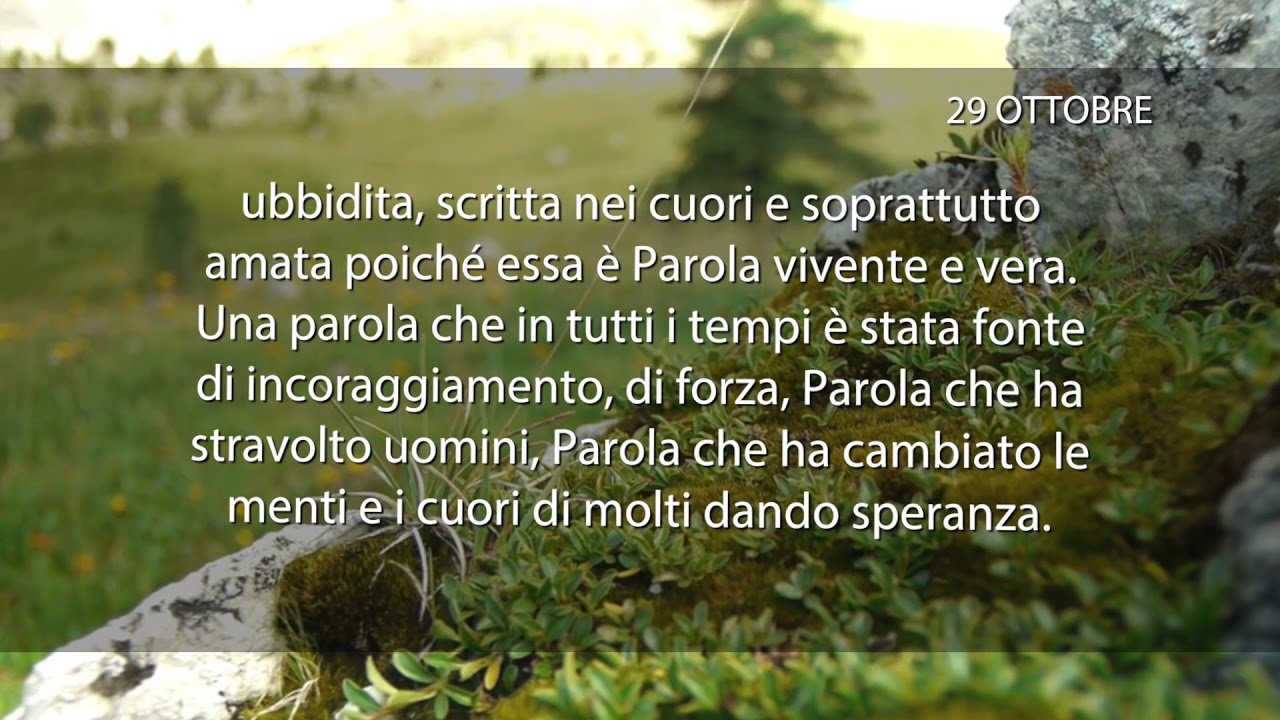 Meditazione del 29 Ottobre 2018 “UNA PAROLA DI VITA”