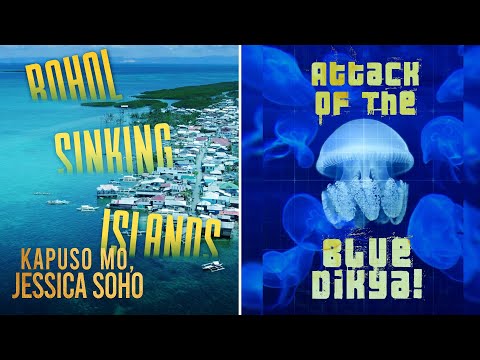 Bohol sinking islands; Attack of the blue dikya Kapuso Mo, Jessica Soho