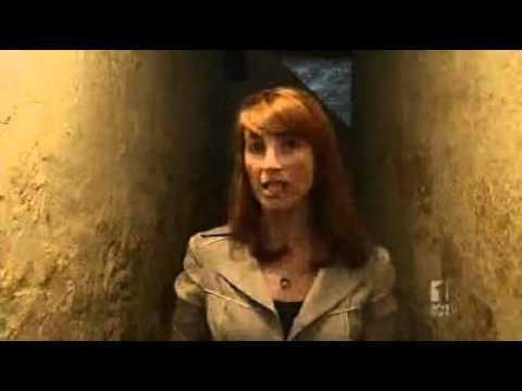 Study investigates convict history