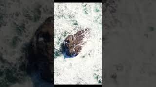 orao para ansiedade #shorts