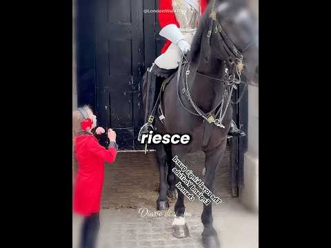 🐴❤️ Il sogno speciale davanti alla Guardia Reale
