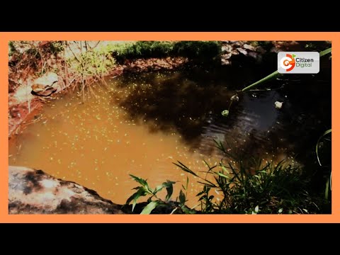 Vijana wawili wafariki baada ya kuzama kwenye bwawa Kabete