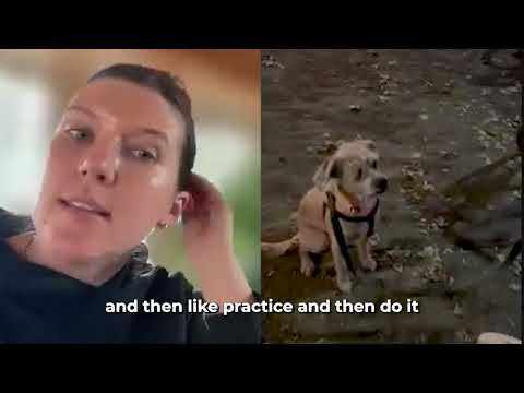Homeschool by LAY LO: Dog training with world-class experts video.