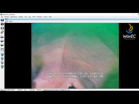 WESE Seafloor Integrity_WaveRoller_Transect 2 (Onboard camera)