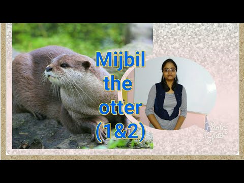 MIJBIL the OTTER (IN HINDI)(Part 1&2) Video Lecture - Class 10 | Best