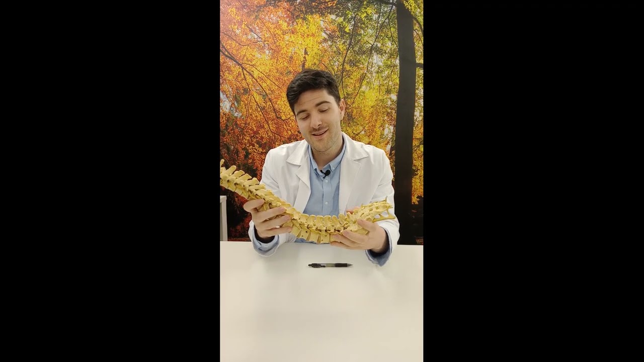 Pablo De La Fuente Villa-15